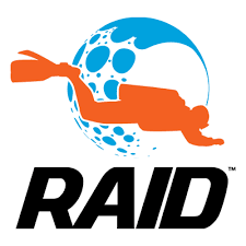 RAID logo