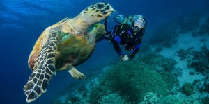 SSI Perfect Buoyancy course