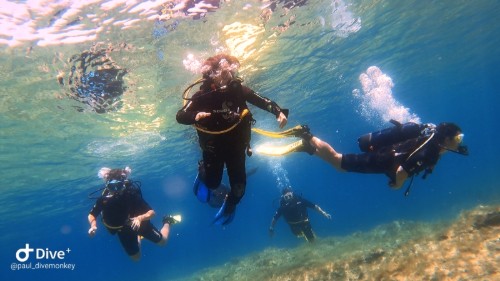 Scuba Dive Malta Try Scuba